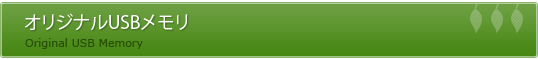 �I���W�i��USB������